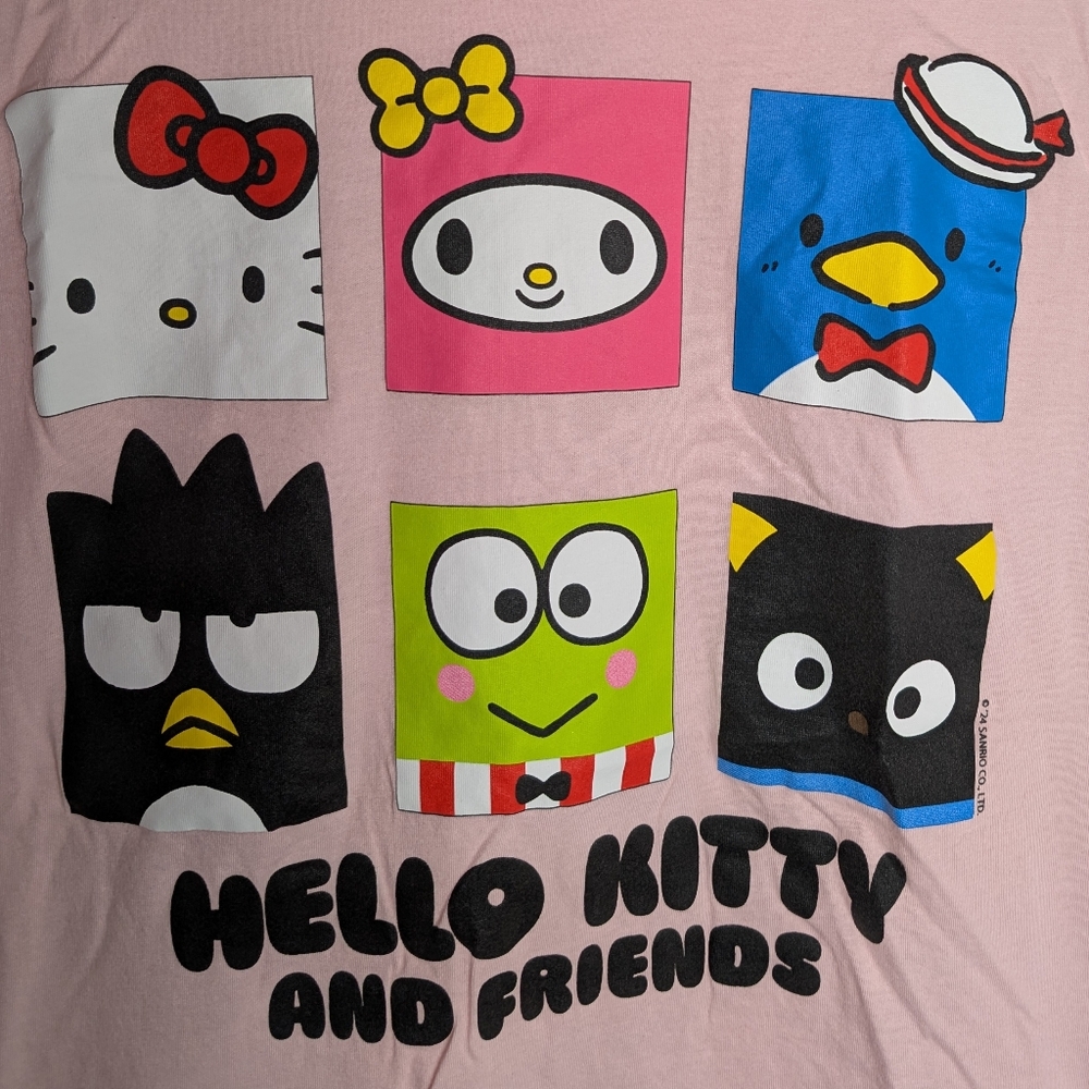Hello Kitty and Friends Pink Graphic Tee